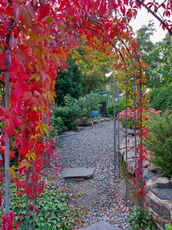 Maries Bunte Villa 巴特贝勒堡 外观 照片