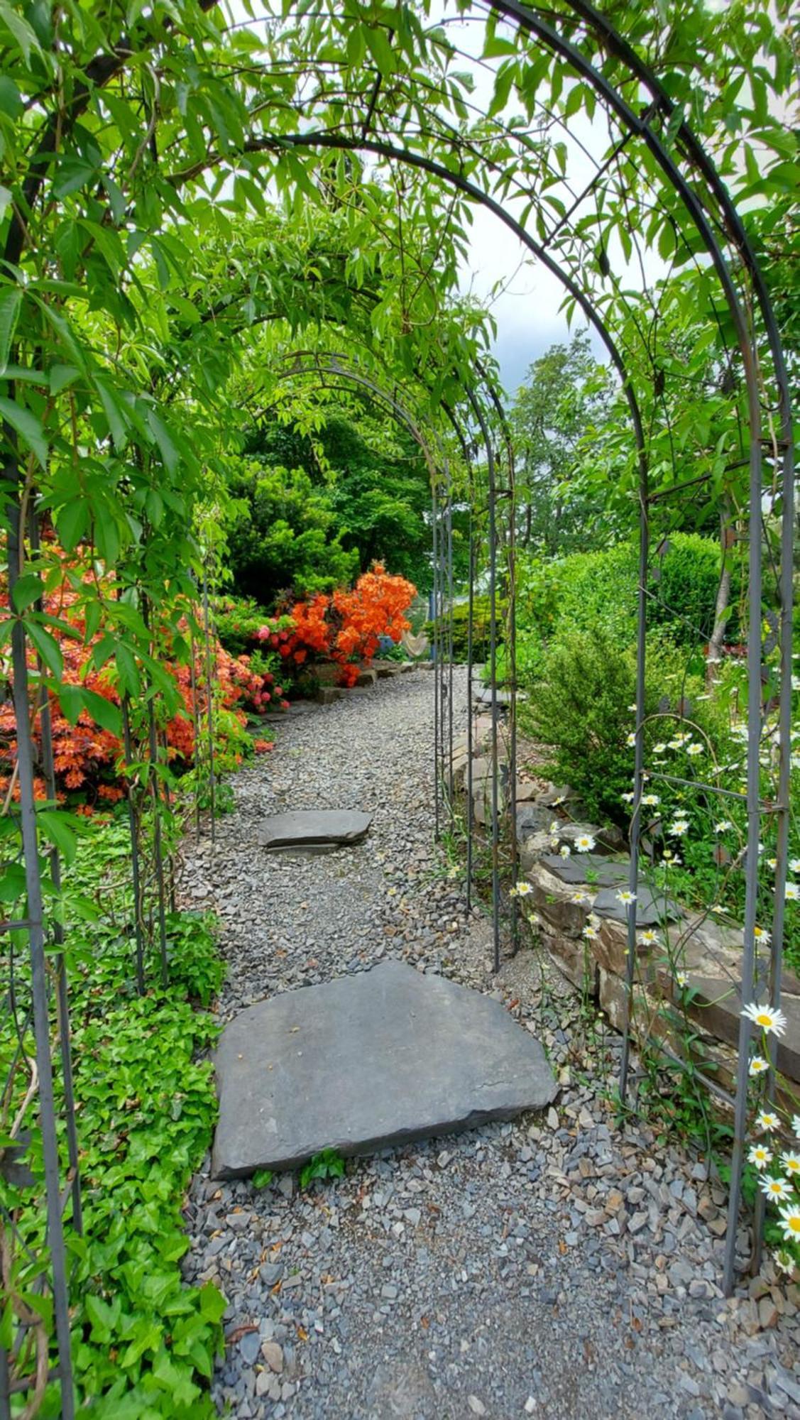 Maries Bunte Villa 巴特贝勒堡 外观 照片